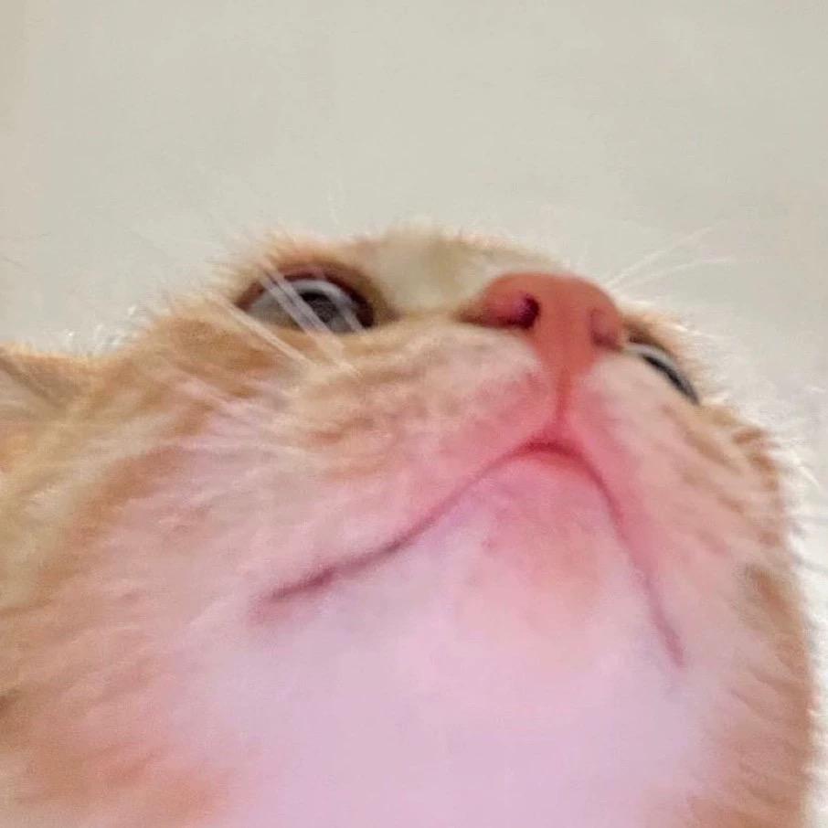 小鱼儿
