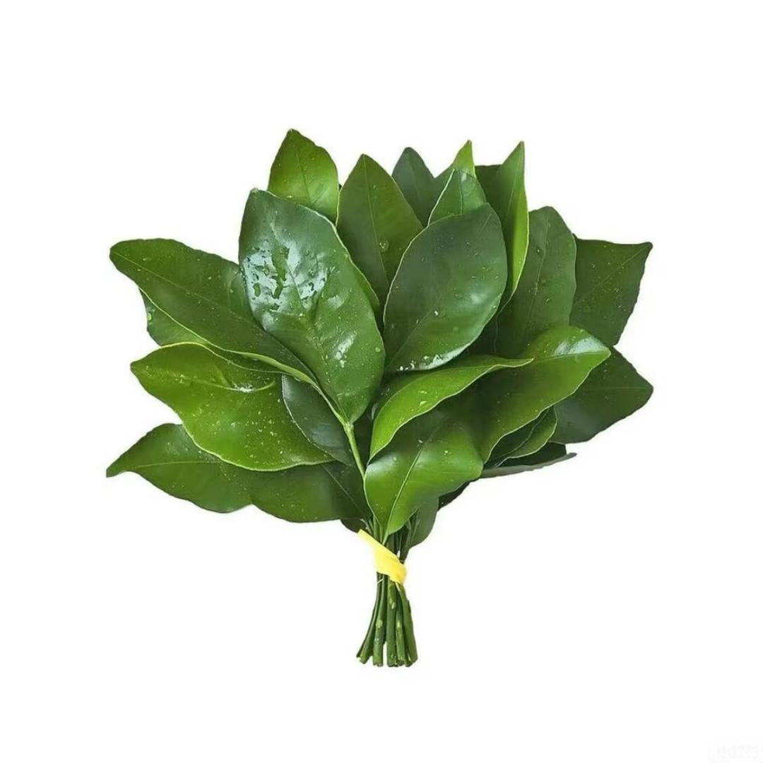 长不大的小孩.