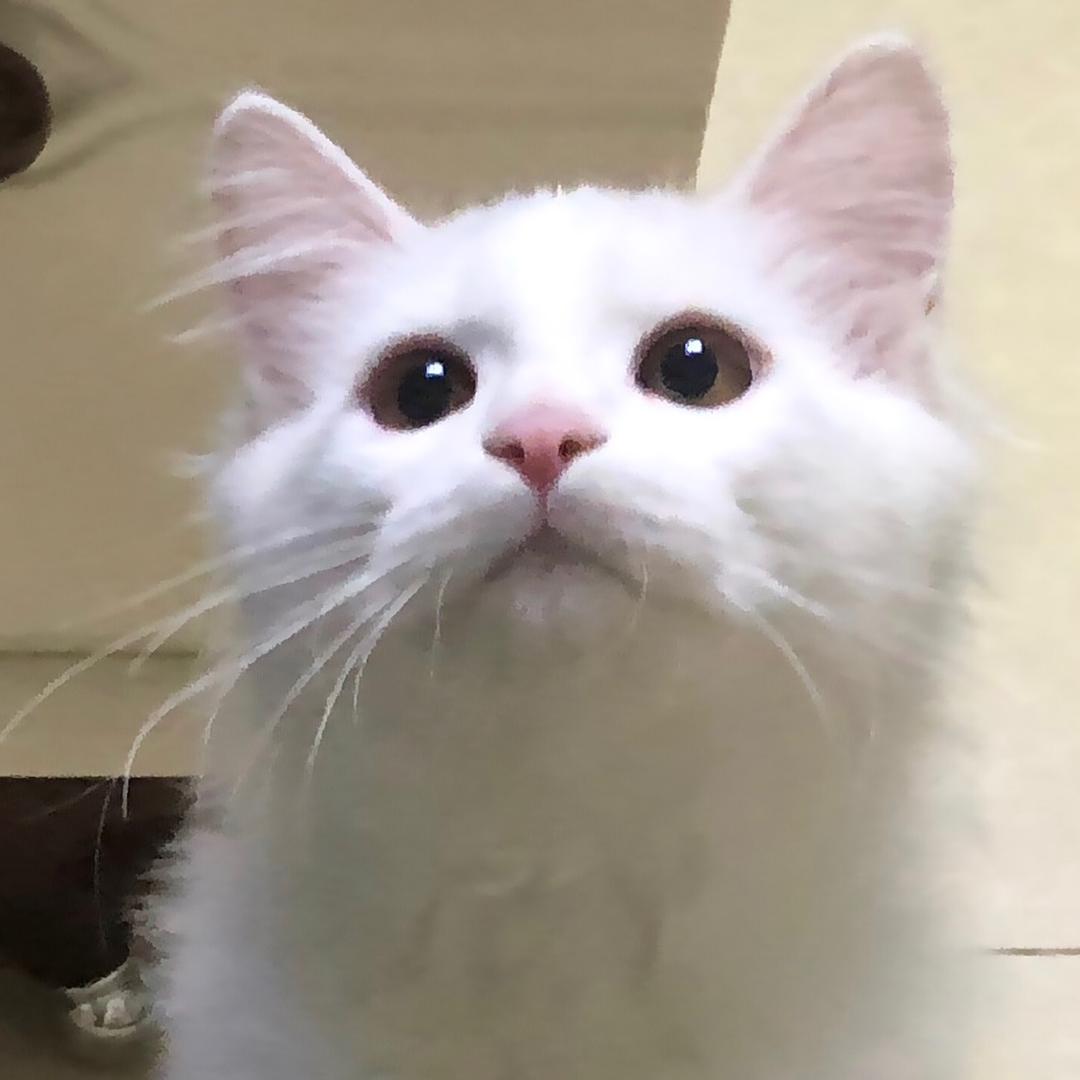 你的宝贝