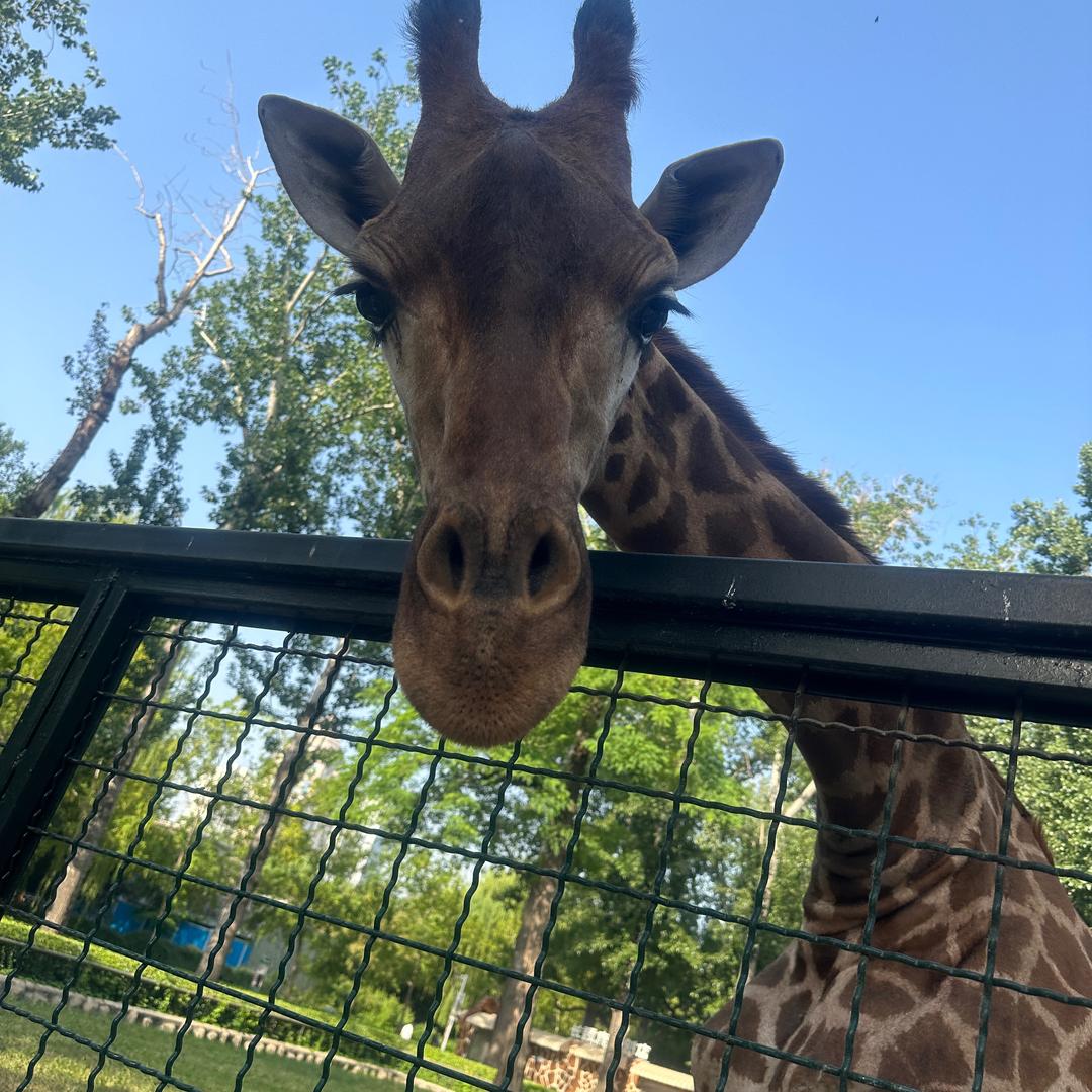 🐒猴子的家政工🐒