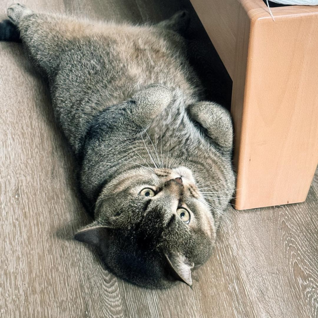 往你的左边看