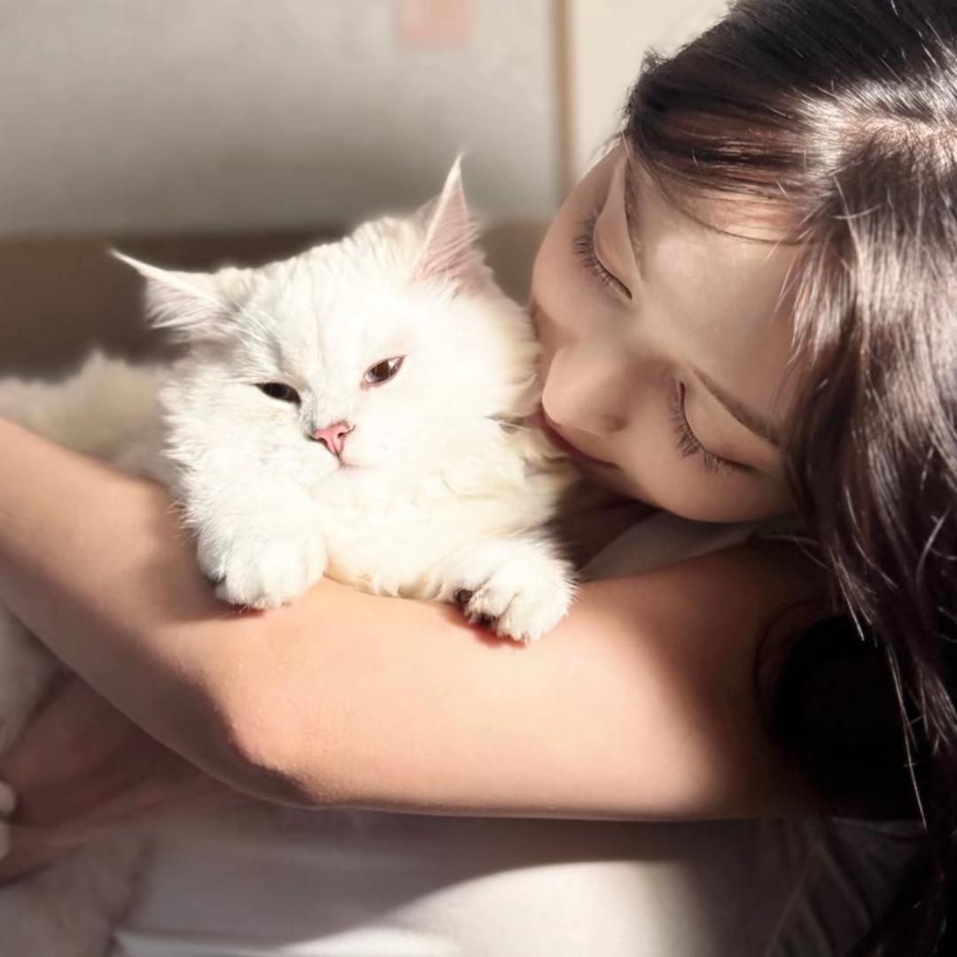-y懒.