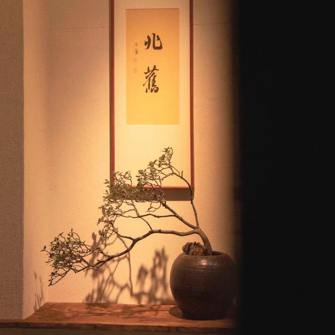 @南山小院