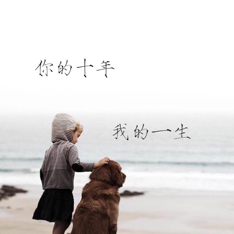 七分