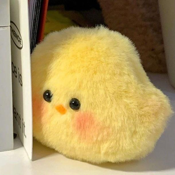 小英健康