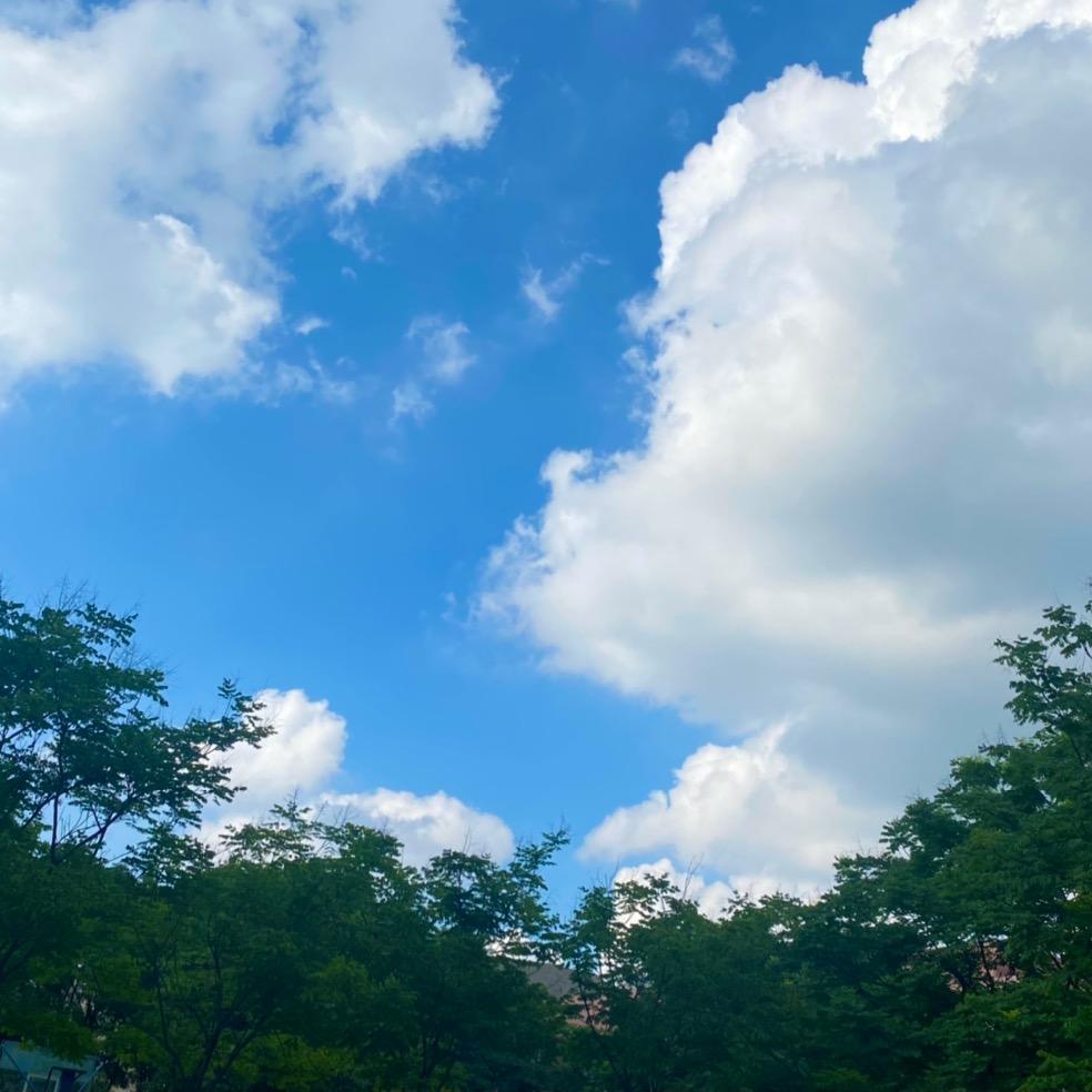 沌口体育东路臭卖煎饼的