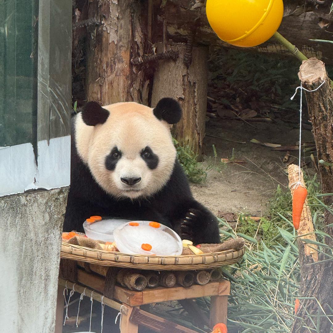 一匹好马.
