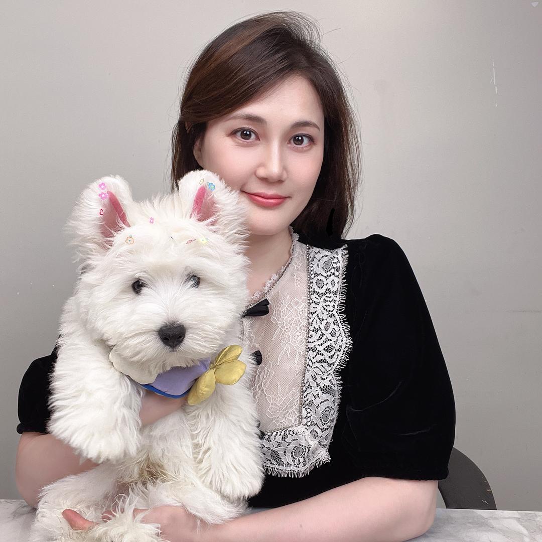 临沂糖豆西高地