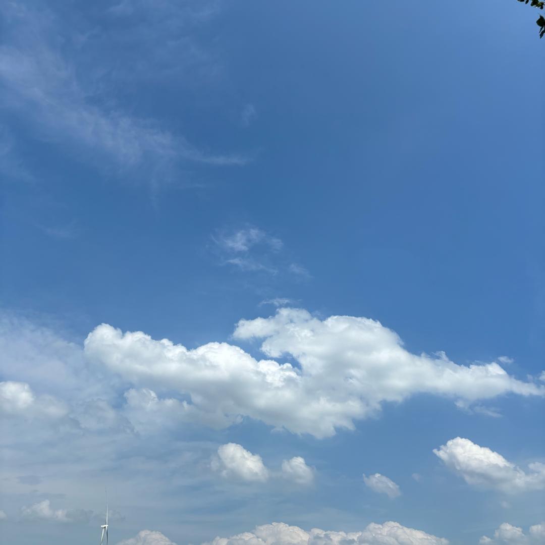 志华