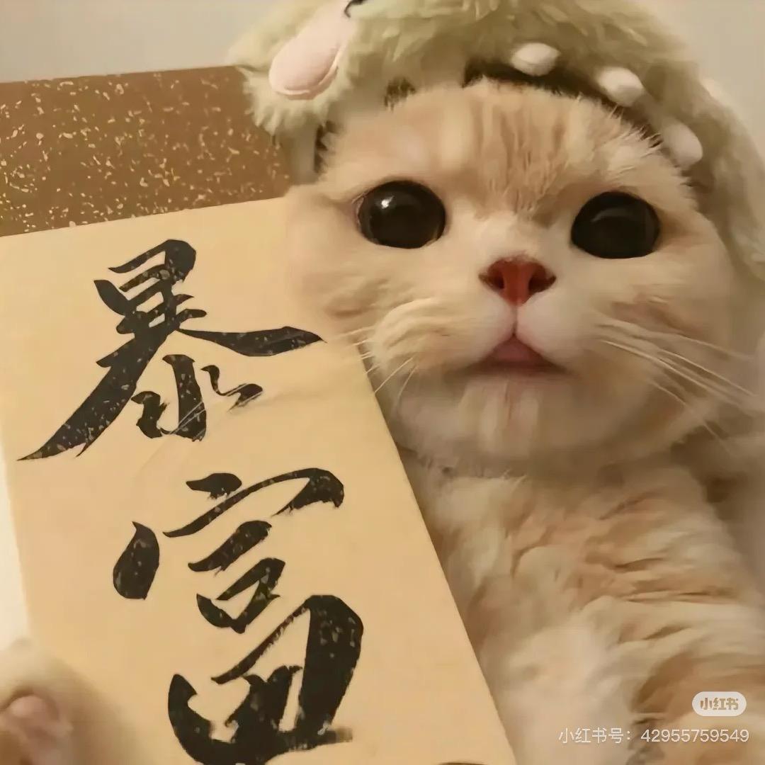 数字游民日记