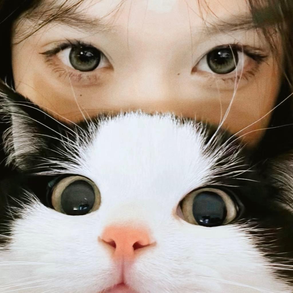 是双鱼吐吐225✨