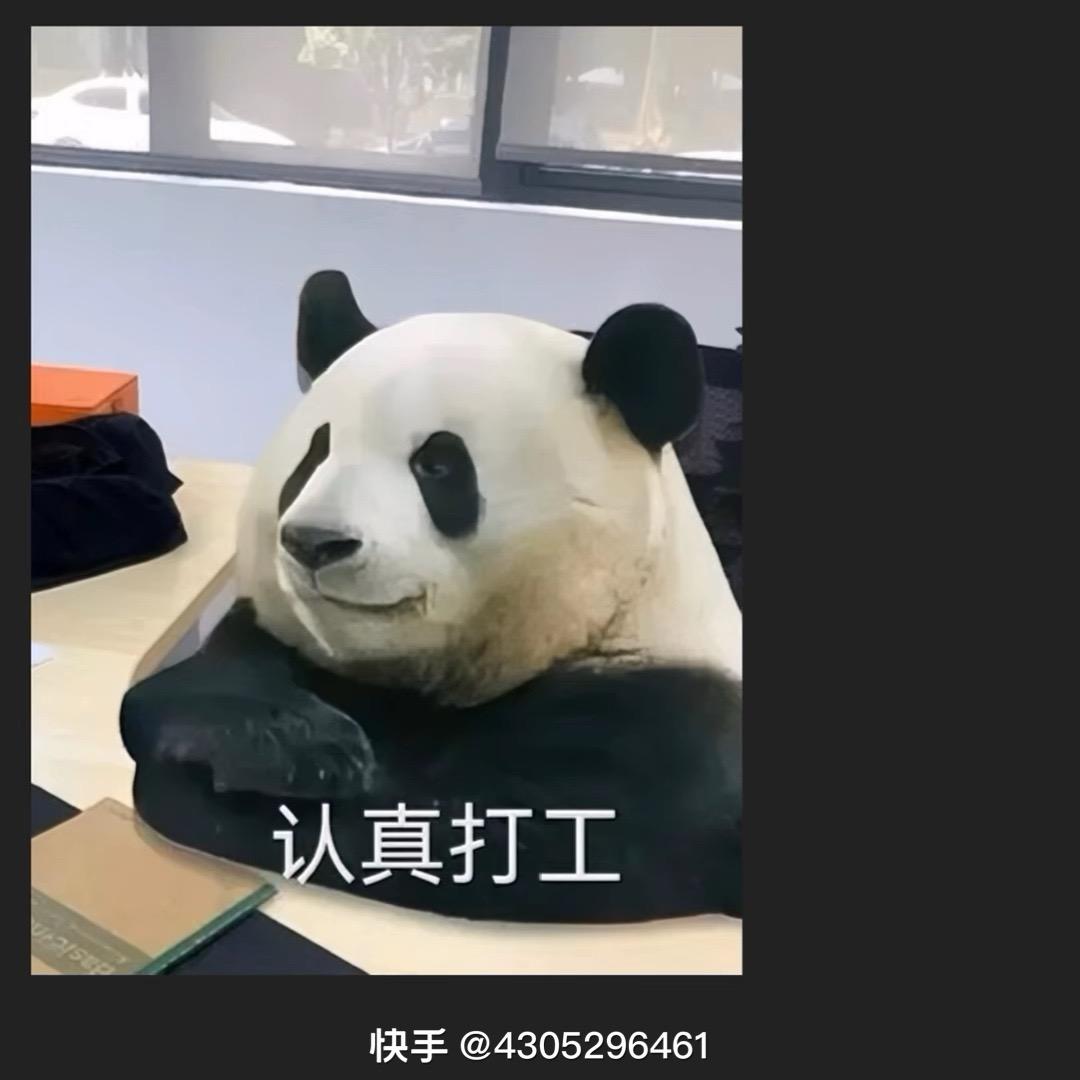 小小紫
