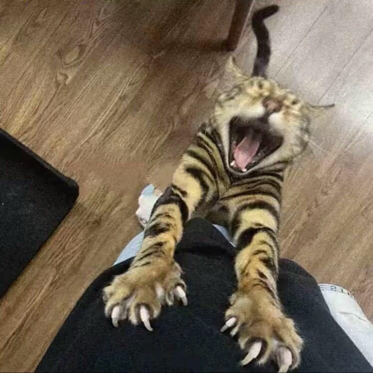 还是不够了解她