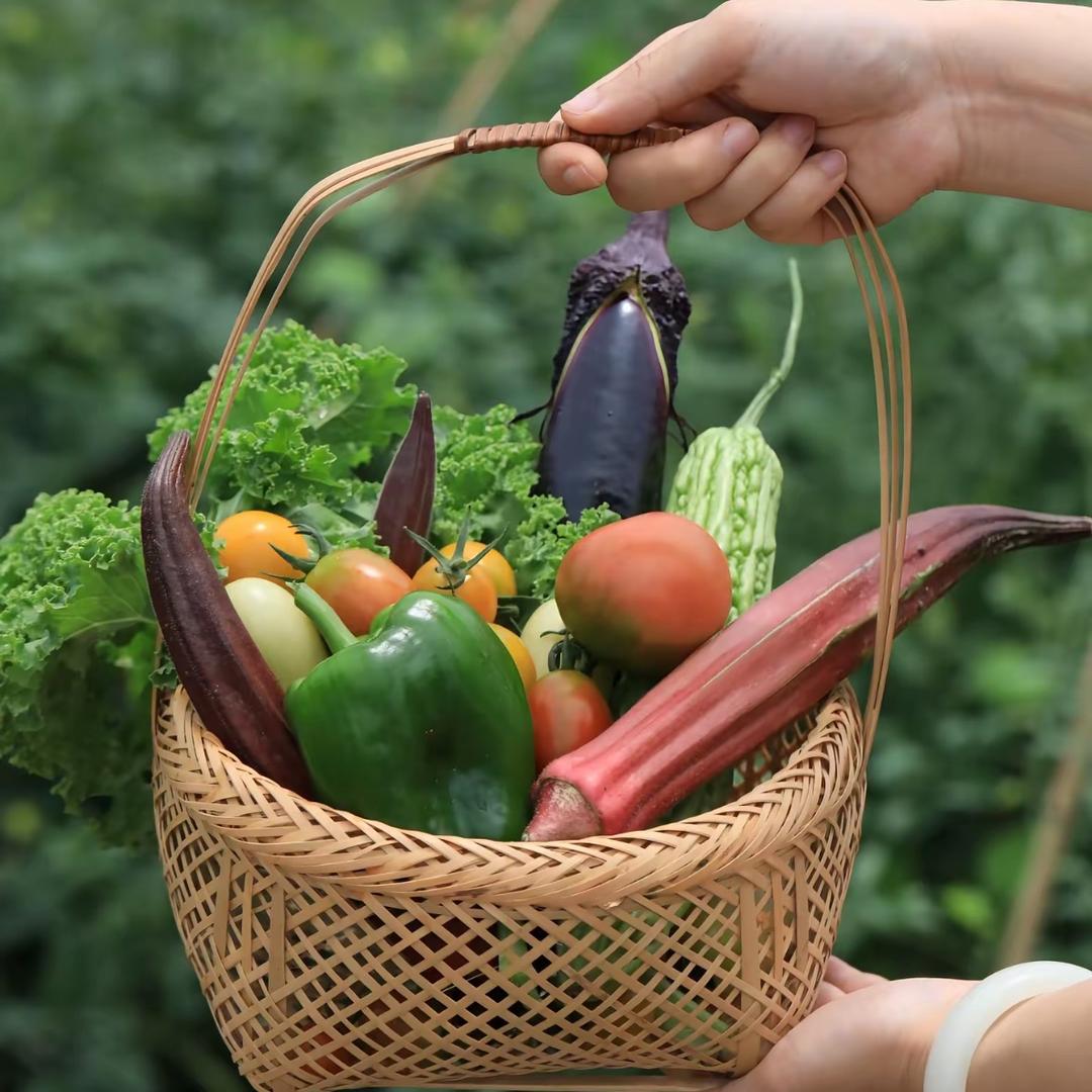 🍉🍎🥦🫜🍆🥔