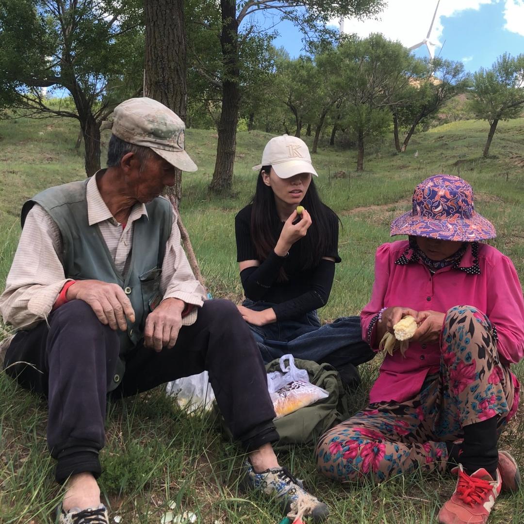 老郑的春夏秋冬