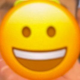 ㅤㅤㅤ ㅤㅤㅤ一头爱做梦的猪