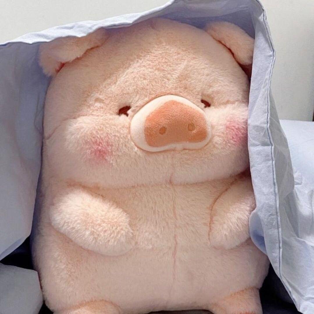 别抢我养的猪