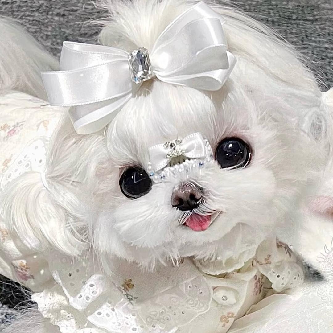 Gogo手工发夹发饰