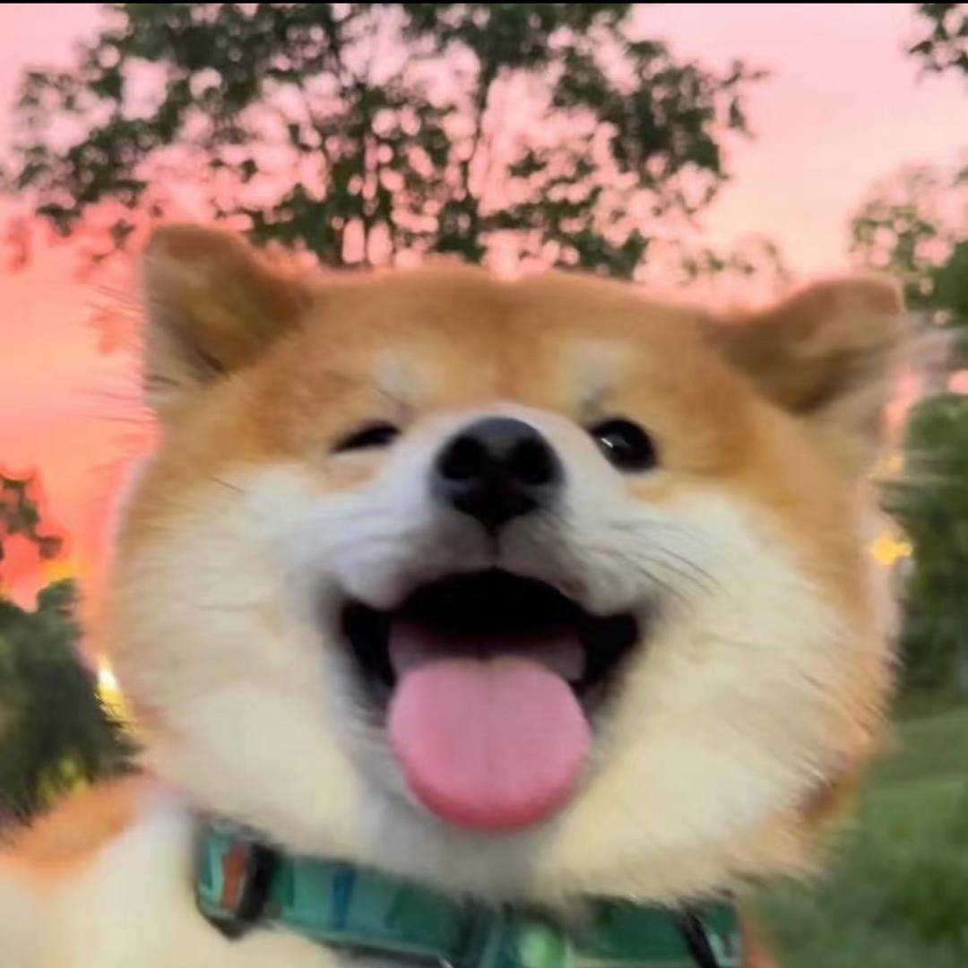 借我