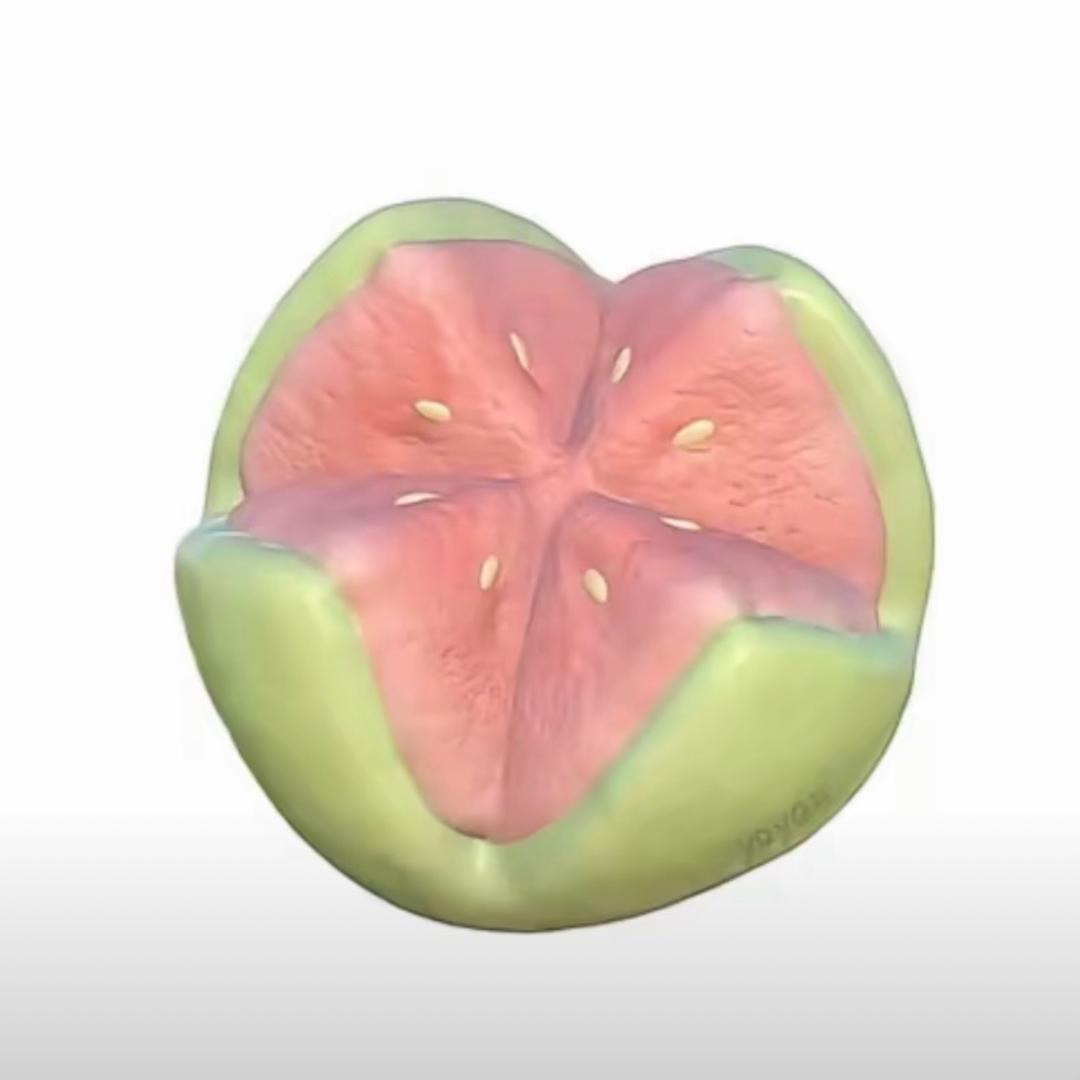 y.