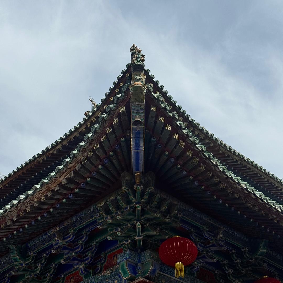布偶猫史蒂芬