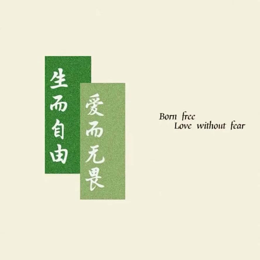 丘鹬