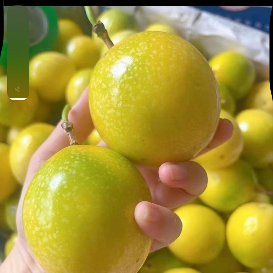 百香果小妹