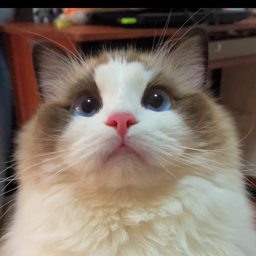 🌈香香公主的日常