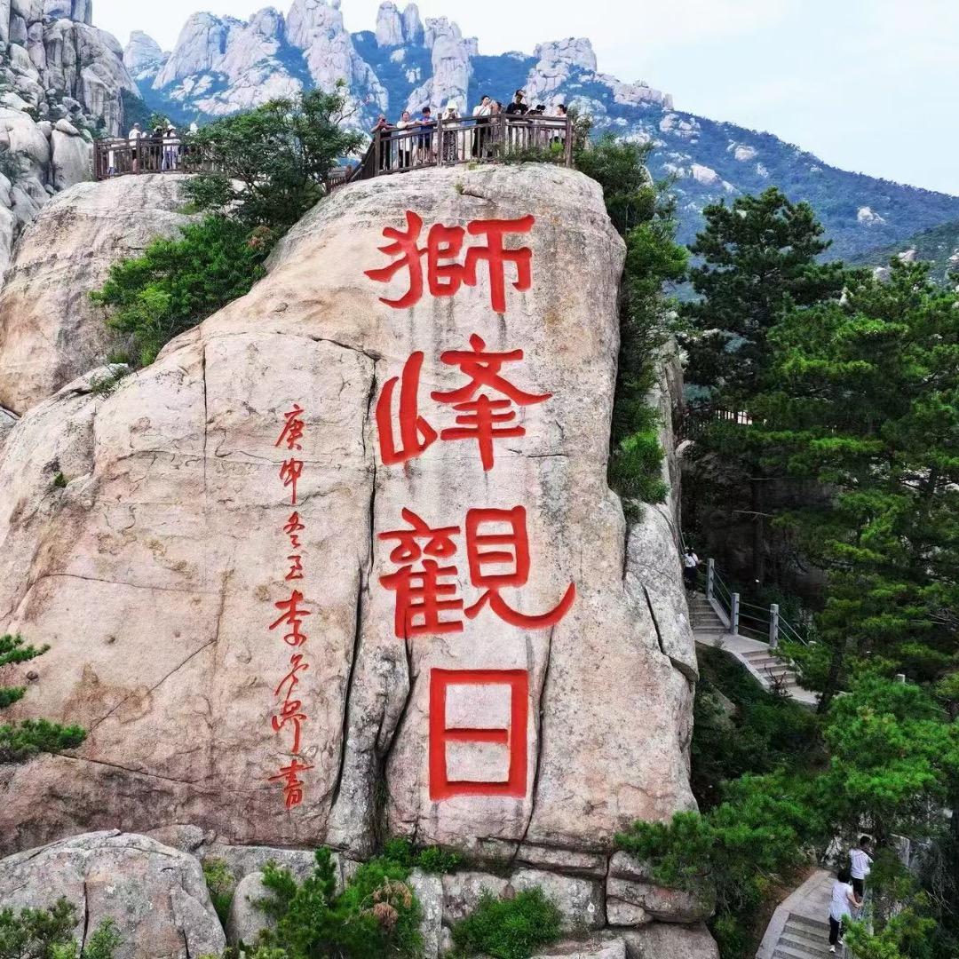 超哥说崂山茶
