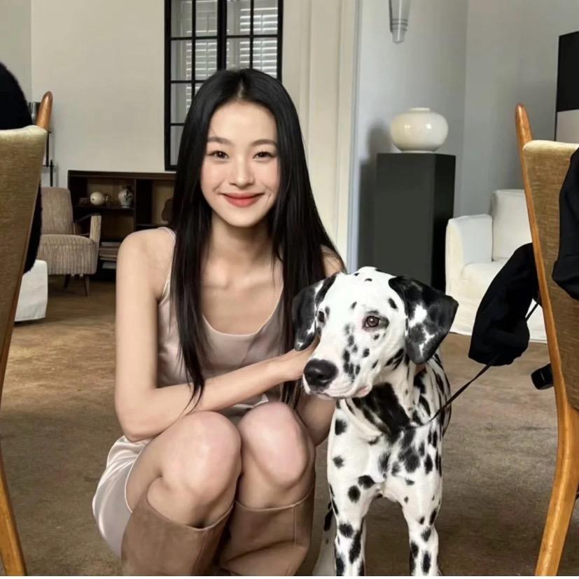 成都租房/粉红
