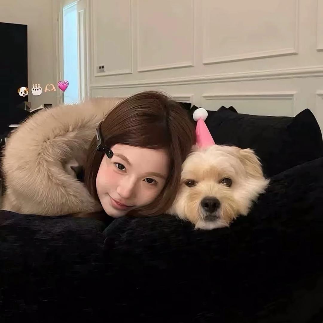 情情