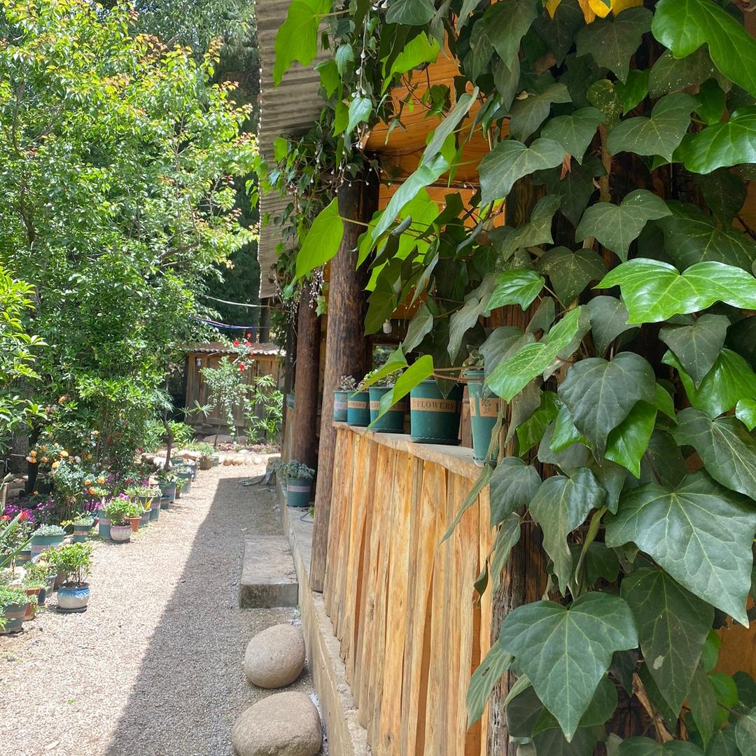 剑川县甸南狮河柳箐农家菜馆