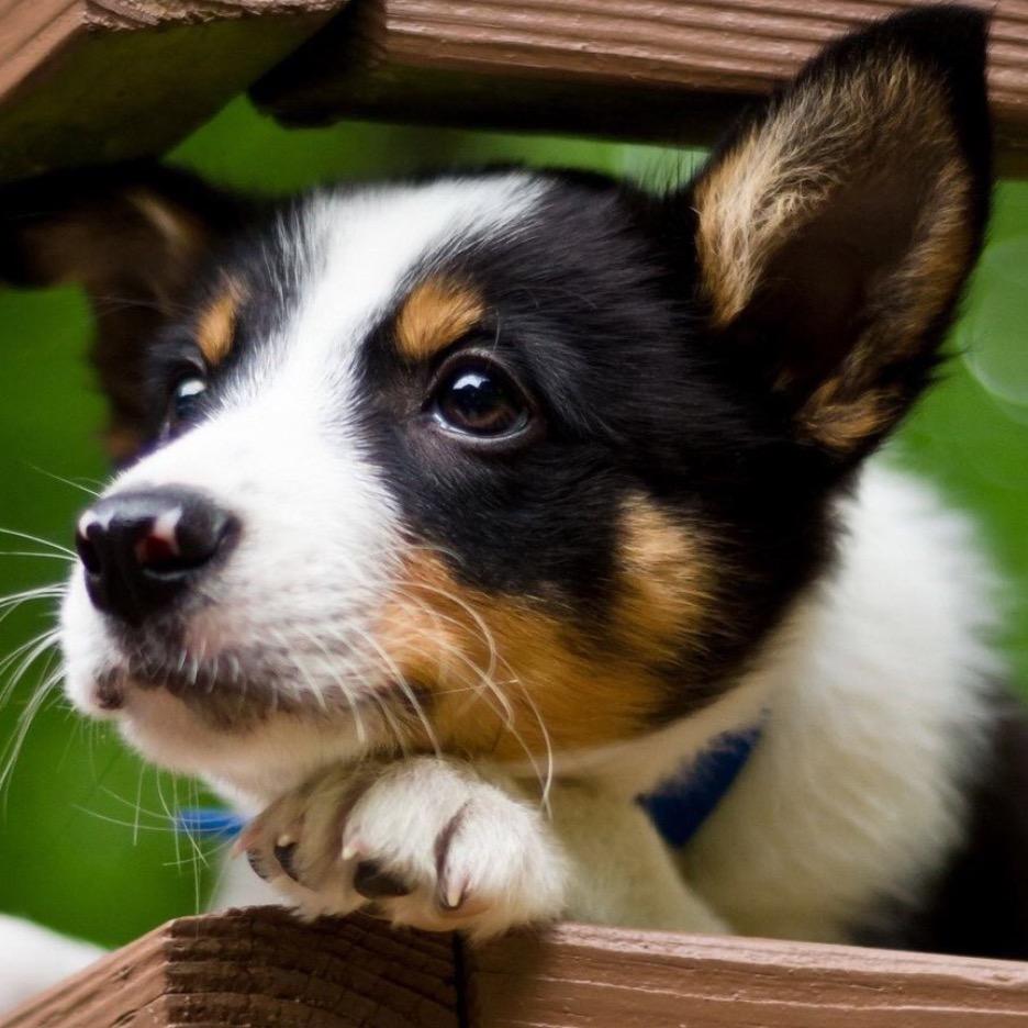 🚶🏻‍♂️🚶‍♂️