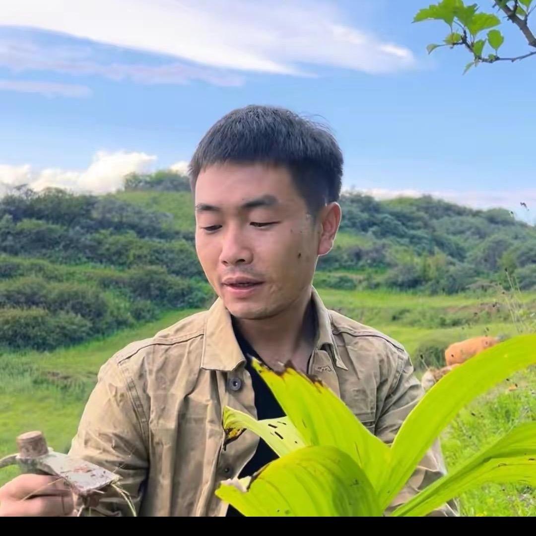 西北本草小马2