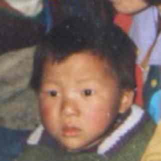 南陵小黄毛