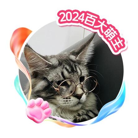 皮卡丘超皮