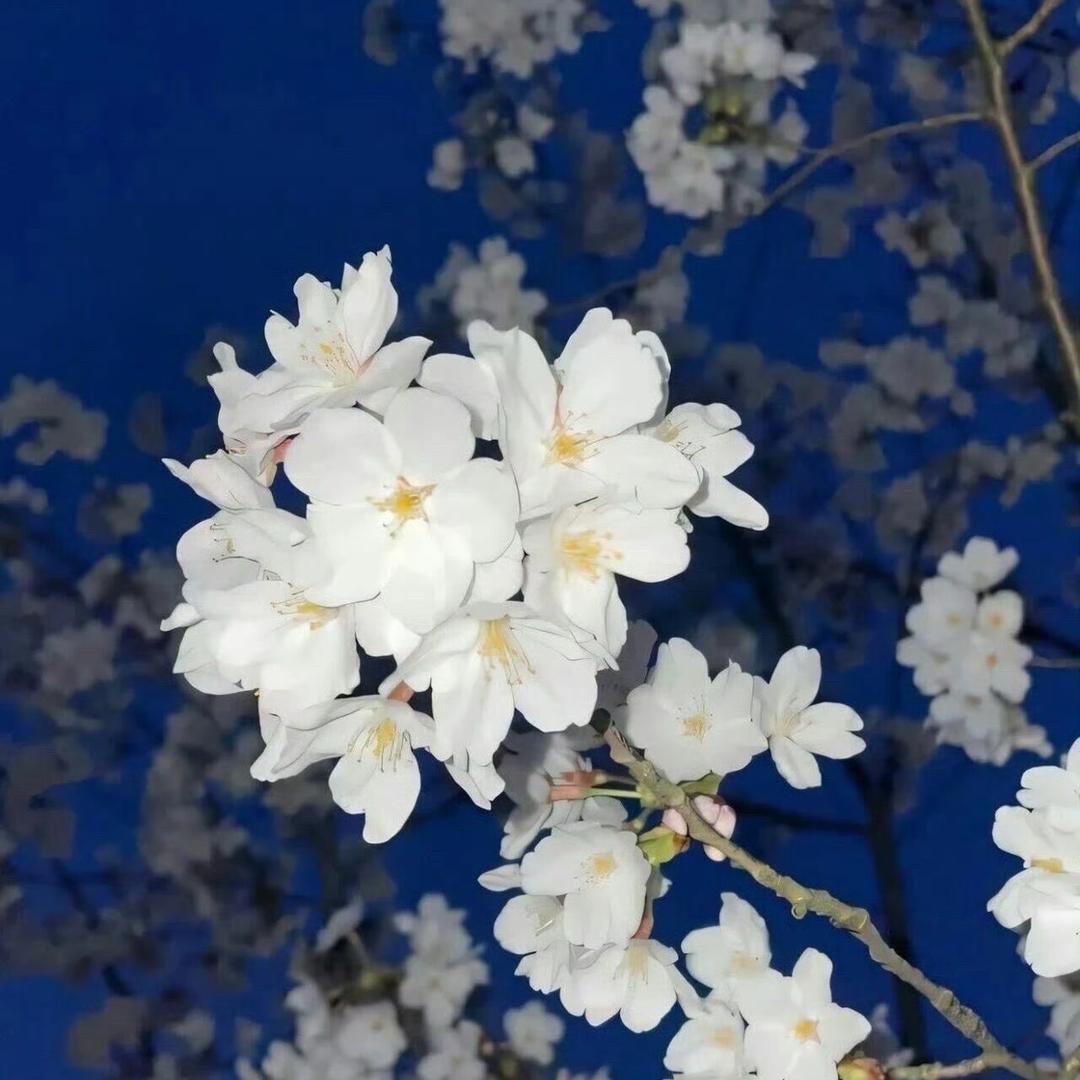 （妈咪妈妈👩贞～