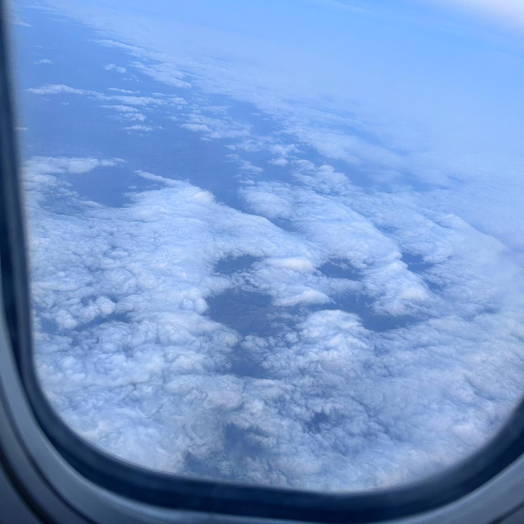 雾野