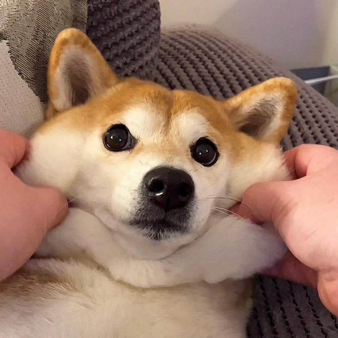 睡个好觉,