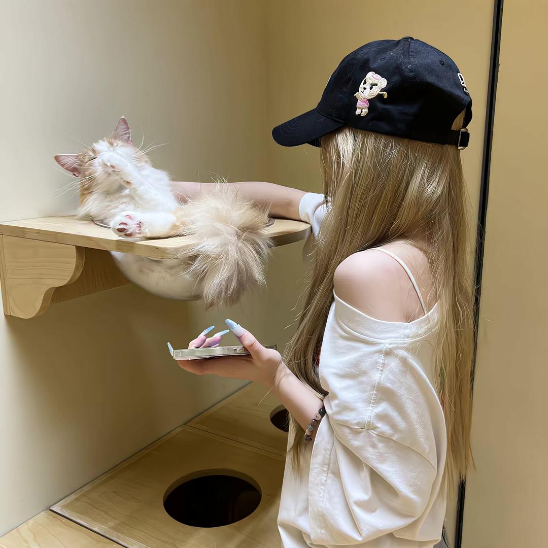 ⁺ʚ欣> 𖥦<酱ɞ⁺