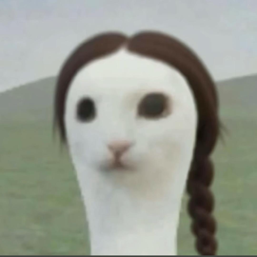 ₍˄ ₗ   ̫ ₗ ˄₎੭ﾞ