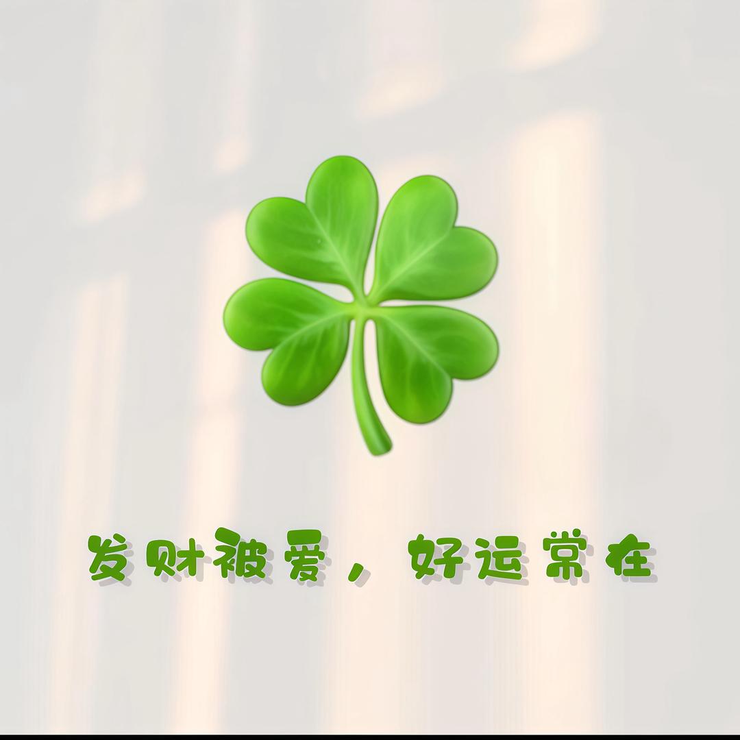 好运一朵🍀