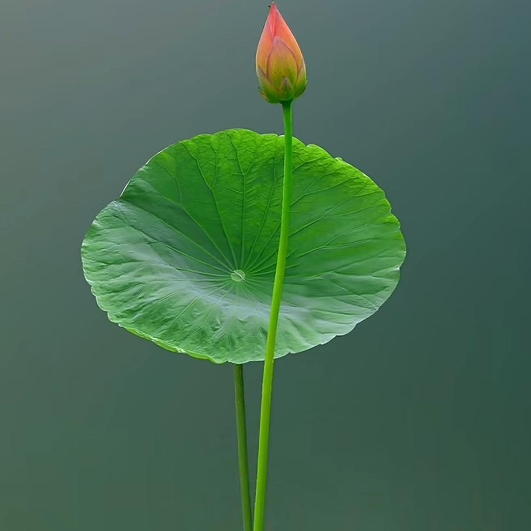 、今天