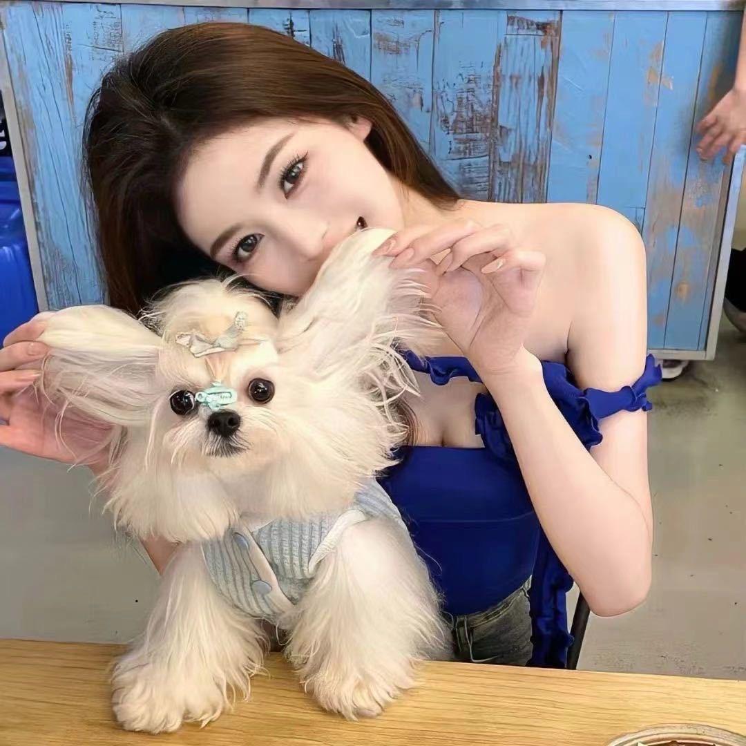 是我呀😘