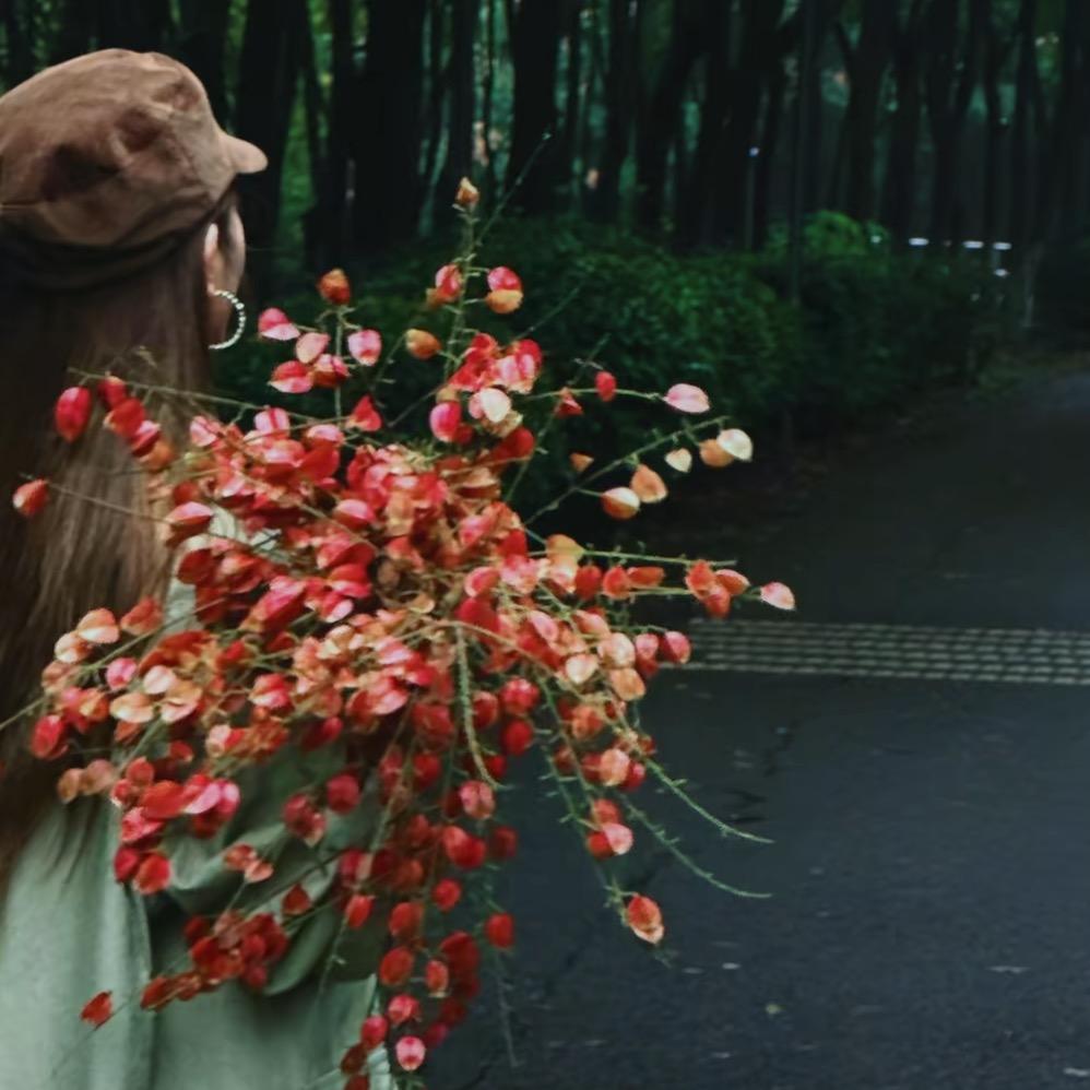 郭美美🧍‍♀️