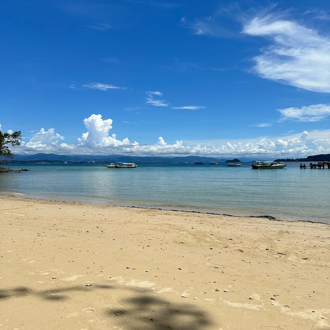 发财核桃【青货号】