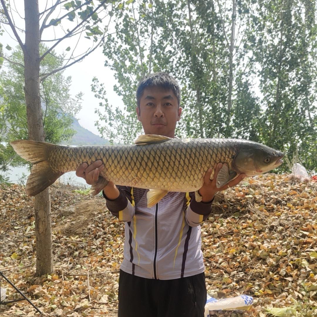 长久爱钓鱼