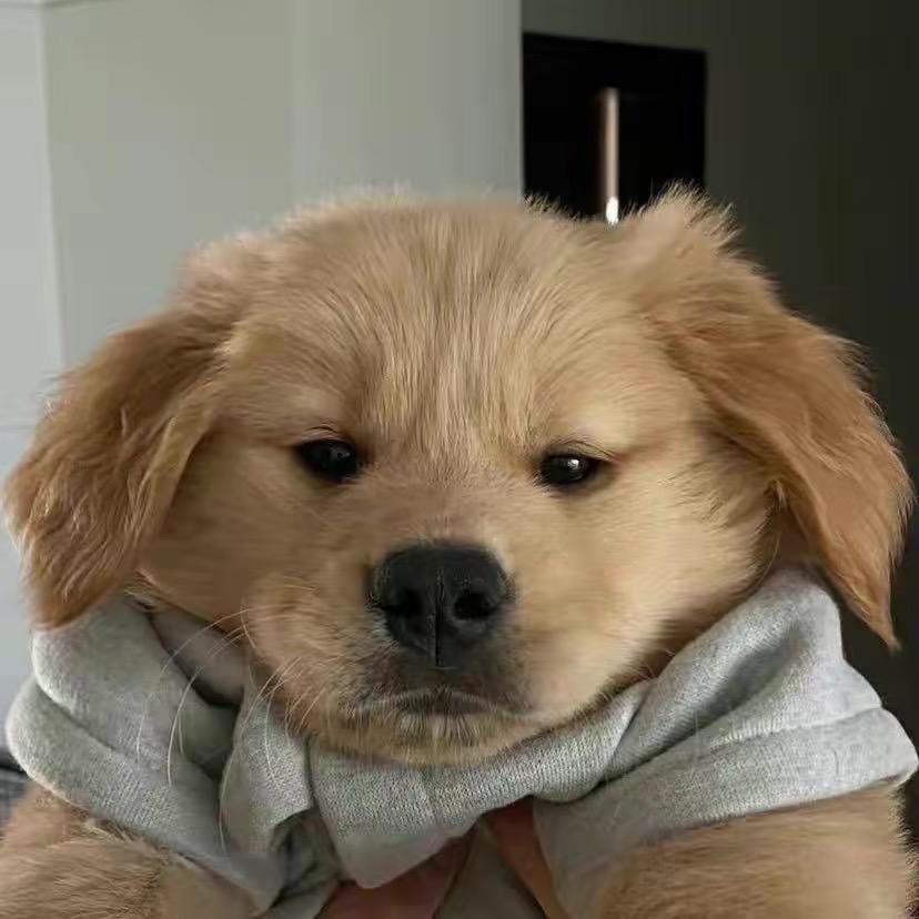 认 真