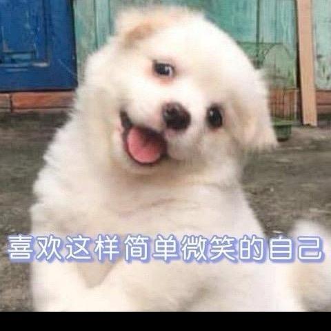 追求 地平线