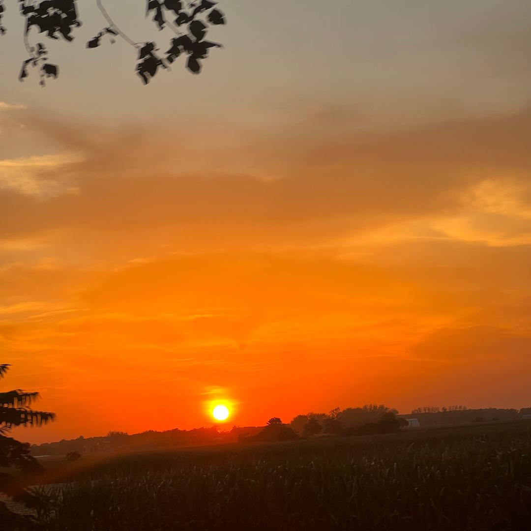 日落✨